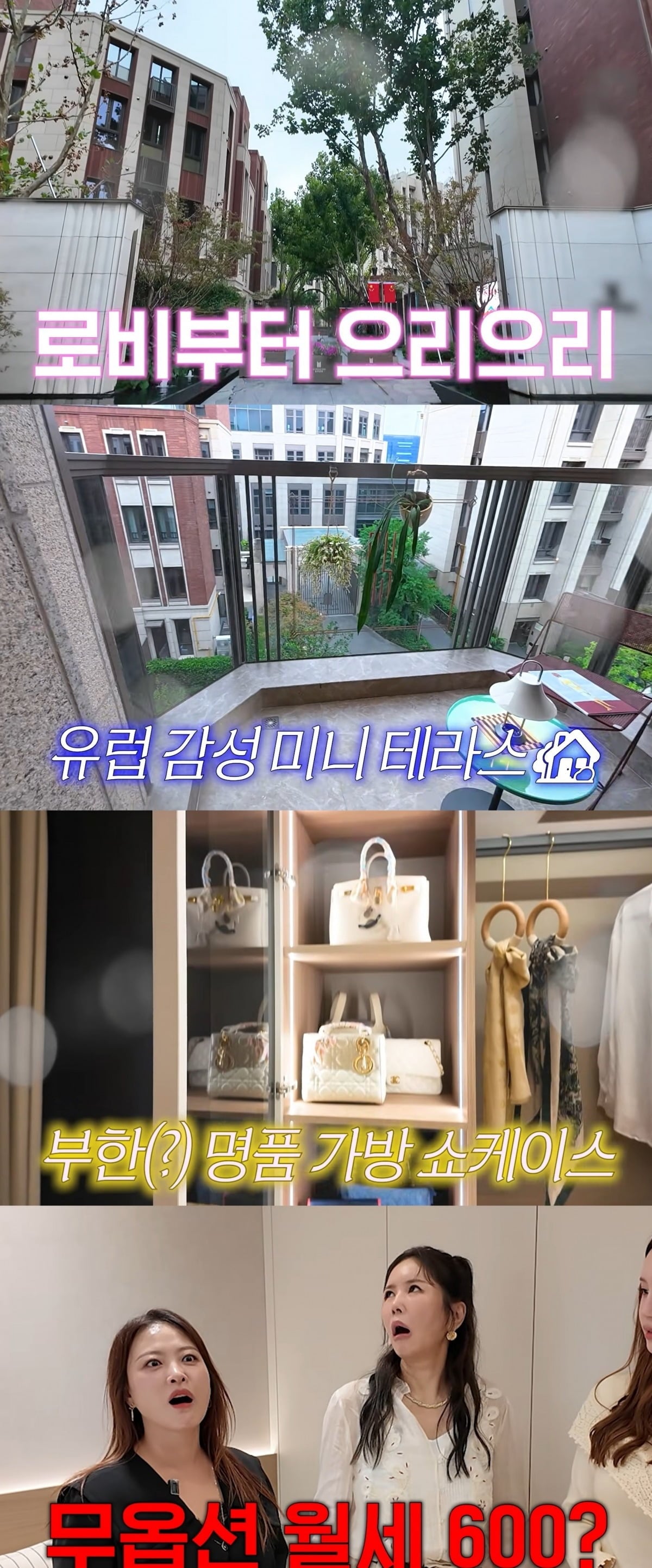 사진 = 유튜브 채널 'A급 장영란'