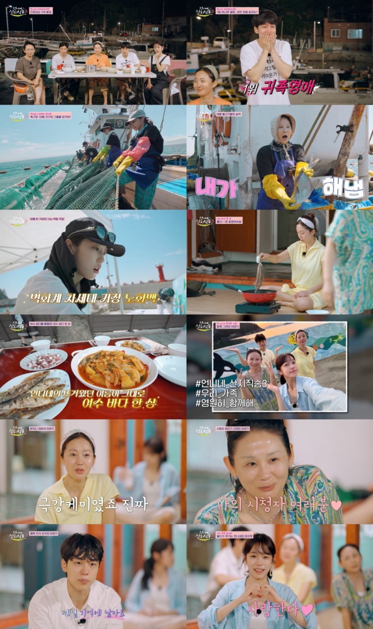 '산지직송3'이 2%대 시청률로 종영했다./사진제공=tvN