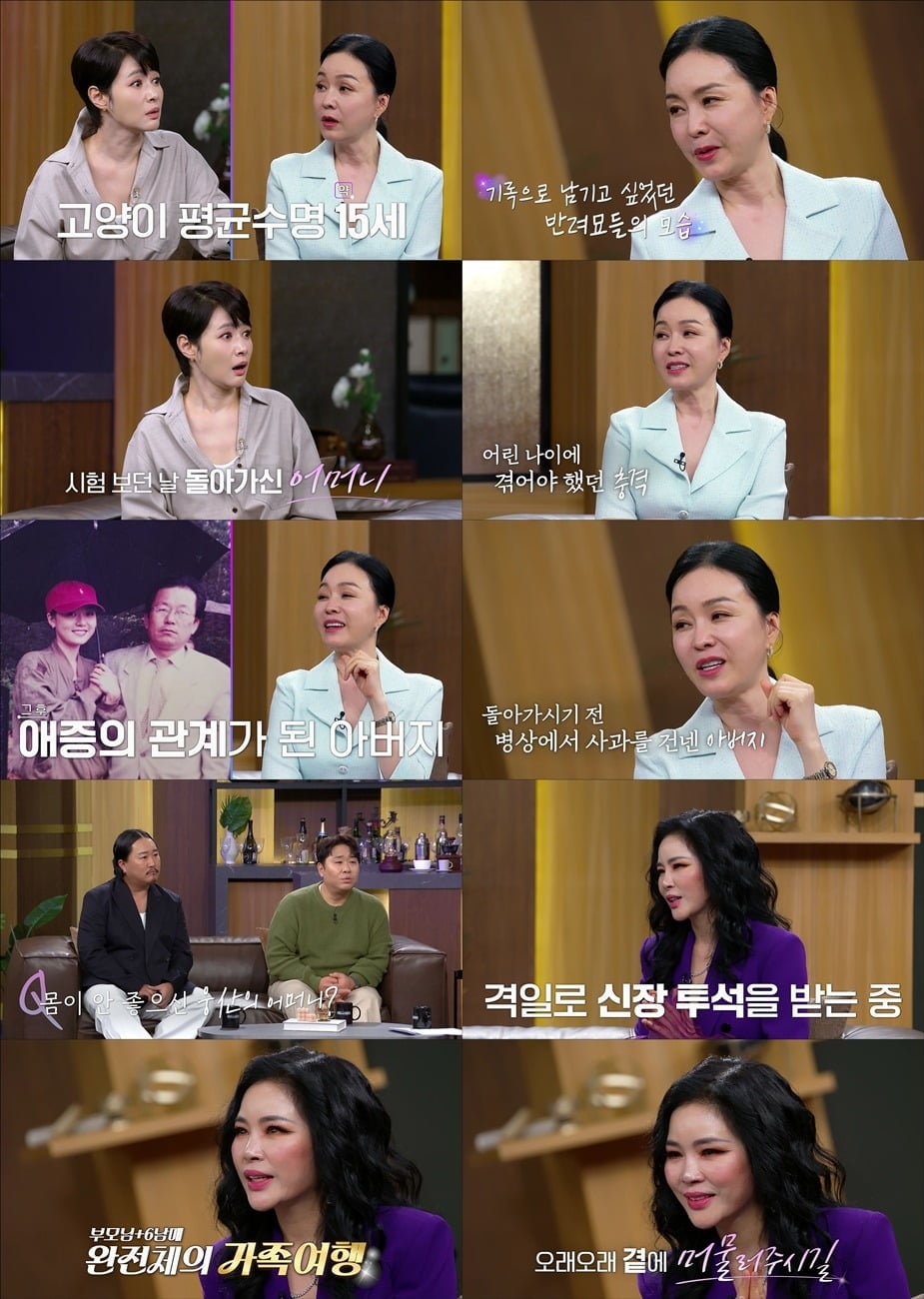 '데이앤나잇'이 11개월 만에 시즌을 종영했다./사진제공=MBN