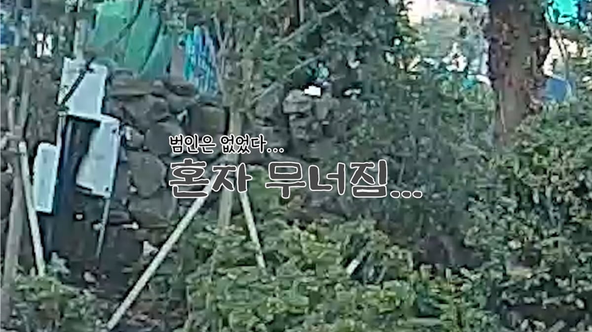 사진=김숙 유튜브