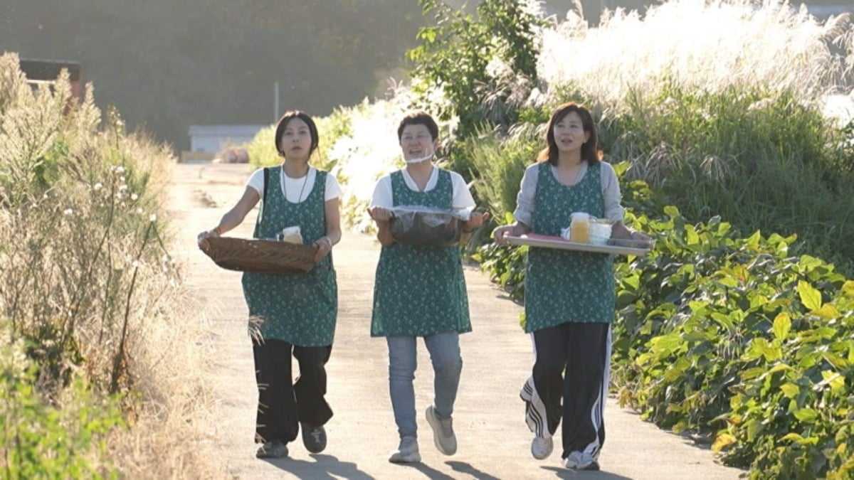 황신혜가 농부에게 후임으로 일해보라는 제안을 받는다. / 사진제공=KBS '황신혜의 같이 삽시다'